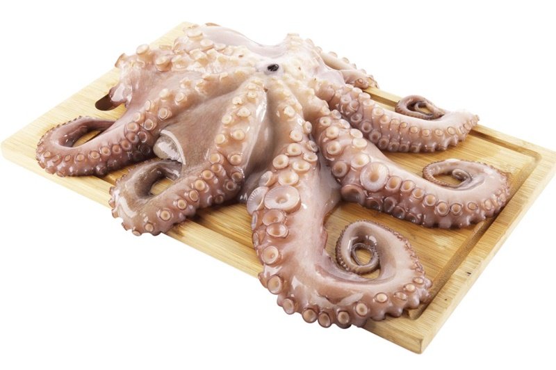 Polvo