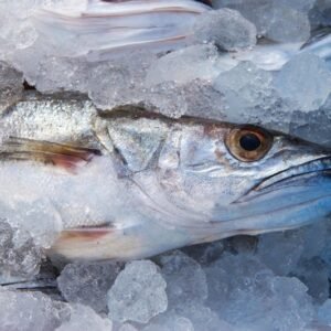 Pescada Branca